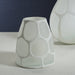 Zodax Home Decor Cape Coral Glass Vase / Hurricane