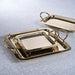 Zodax Furniture Manetta Steel and Brass Tray-Polished Gold 13" x 7" x 2"
