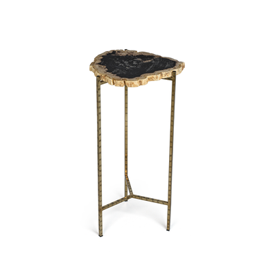 Zodax Furniture Porto Alegre Petrified Wood Side Table -23.75"