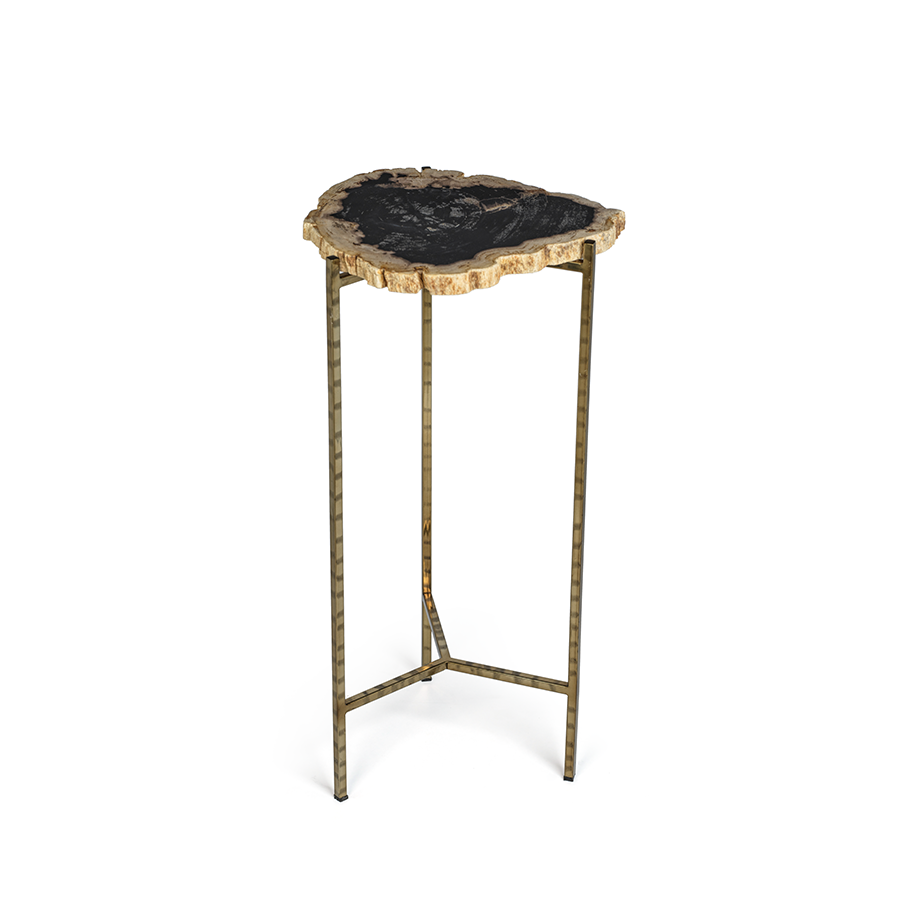 Zodax Furniture Porto Alegre Petrified Wood Side Table -23.75"