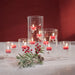 Zodax Furniture Suspended Glass Tealight Holder/Hurricane-4.75" x 11.75"