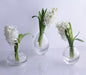 Beatriz Ball Giftware Beatriz Ball Glass Faceted Round Bud Vase Clear