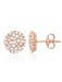 Crislu Jewelry Crislu Round Glisten Stud Earrings finished in 18kt Rose Gold