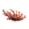 Daum Art Glass Daum Crystal Coral Sea Amber Red Medium Bowl