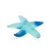 Daum Art Glass Daum Crystal Coral Sea Blue Starfish