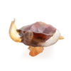 Daum Art Glass Daum Crystal Coral Sea Large Amber Grey Sea Turtle