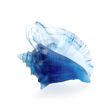 Daum Art Glass Daum Crystal Coral Sea Large Shell