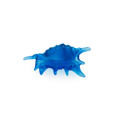 Daum Art Glass Daum Crystal Coral Sea Small Shell