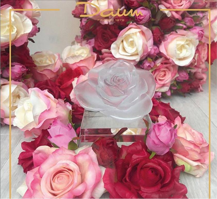 Daum Crystal White Flower Rose Passion