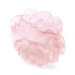 Daum Art Glass Daum Large Pink Camellia Vase