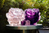 Daum Art Glass Daum Large Violet Camellia Vase