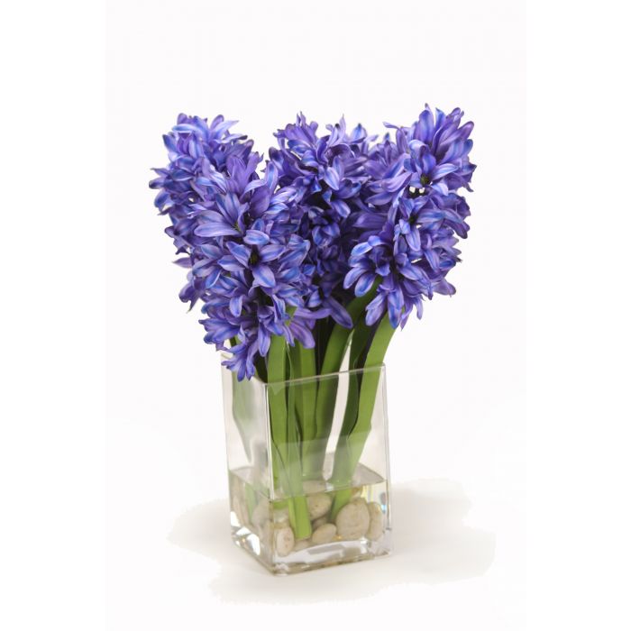 Blue Hyacinths in Square Vase