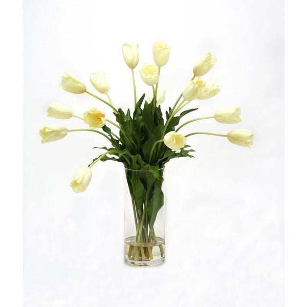 Waterlook® Cream White Tulips in Cylinder Vase