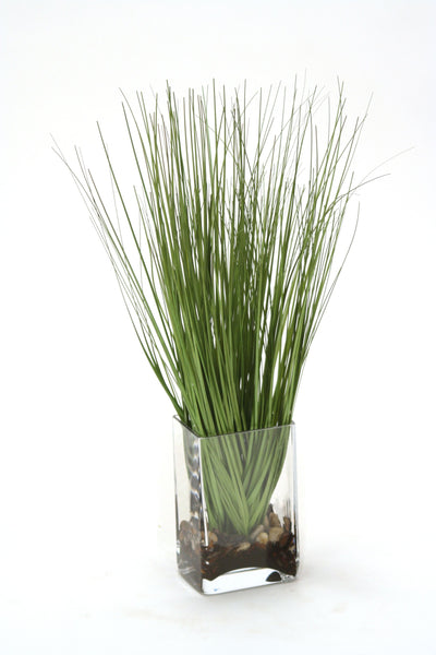 Waterlook® Grass in Rectangular Glass