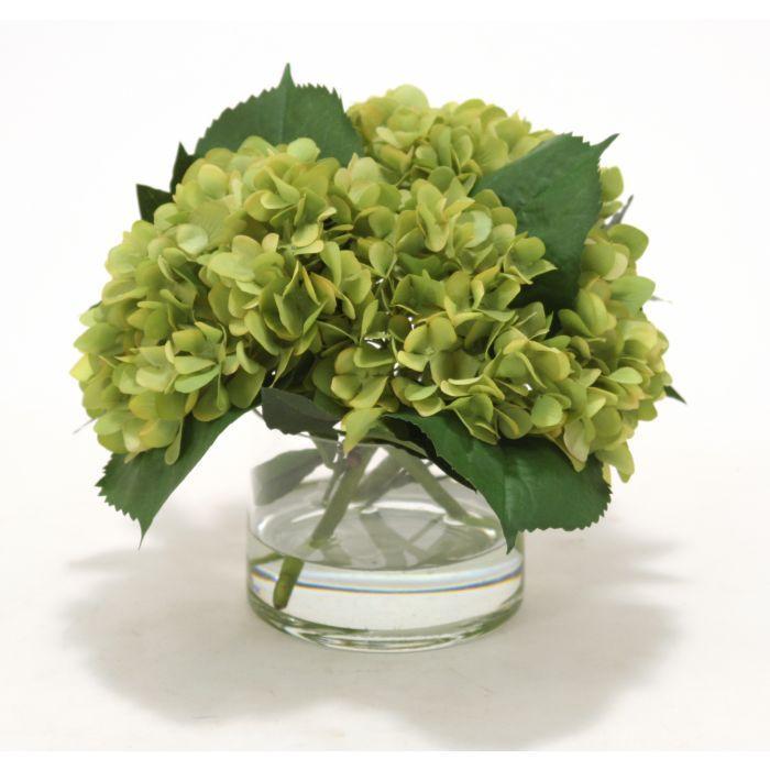 Waterlook® Green Hydrangeas, Laurel Leaves in Glass Cylinder