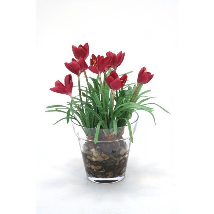 Waterlook® Mauve Crocus in Glass Flower Pot