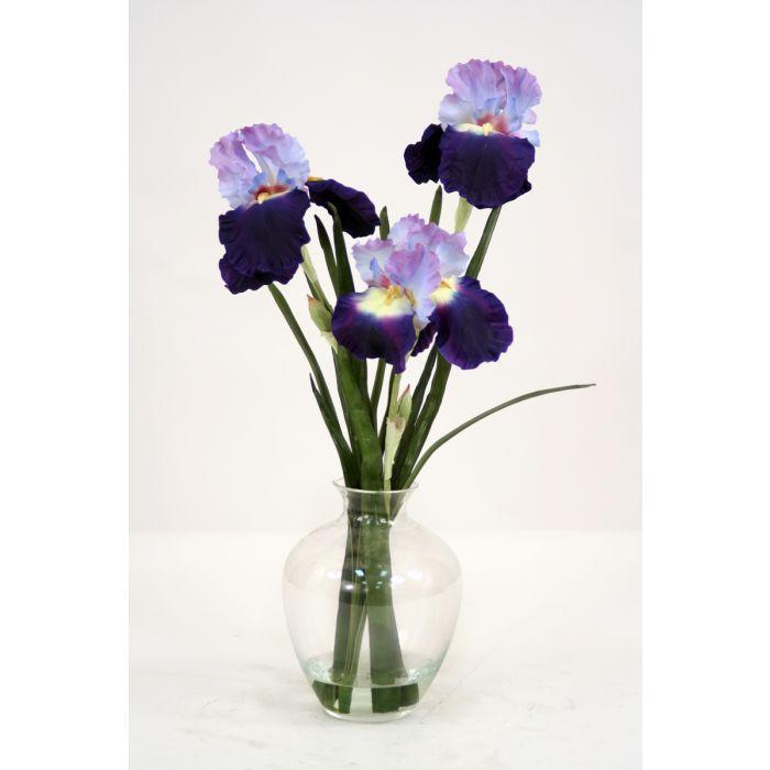 Waterlook® Purple Blue Bearded Iris with Blades in Victoria Glass Vase