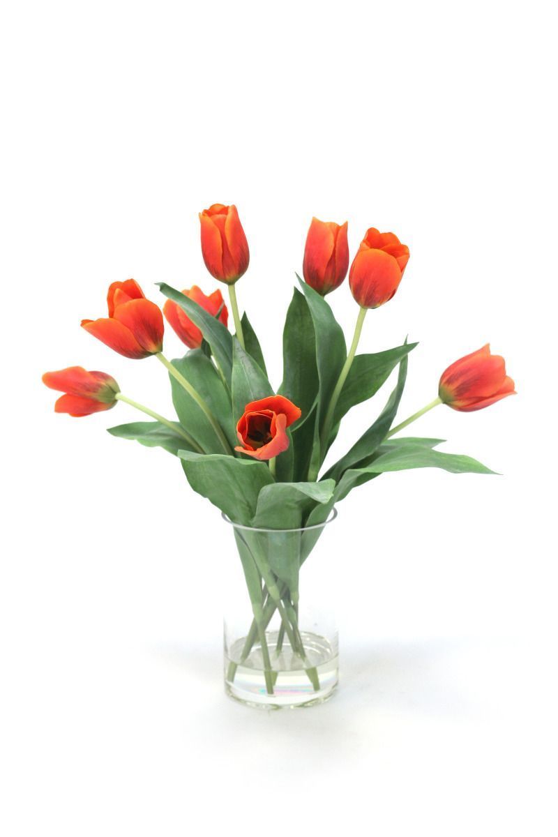 Waterlook® Red-Orange Tulips in Glass Cylinder