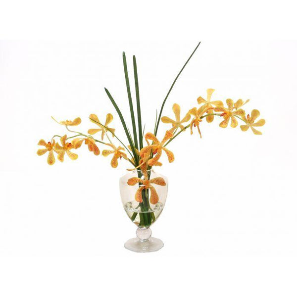 Waterlook® Yellow-Orange Vanda Orchids, Grass in Glass Urn