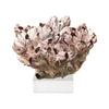Legend of Asia Giftware Legend of Asia Barnacle Coral 10-12 Inch On Acrylic Base