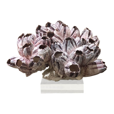 Legend of Asia Giftware Legend of Asia Barnacle Coral 8-10 Inch On Acrylic Base