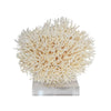 Legend of Asia Giftware Legend of Asia Birdsnest Coral 10-12 Inch On Acrylic Base