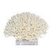 Legend of Asia Giftware Legend of Asia Birdsnest Coral 12-15 Inch On Acrylic Base
