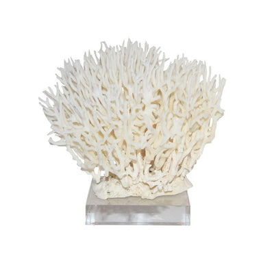 Legend of Asia Giftware Legend of Asia Birdsnest Coral 8-10 Inch On Acrylic Base