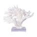 Legend of Asia Giftware Legend of Asia Branch Coral 12-15 Inch On Acrylic Base