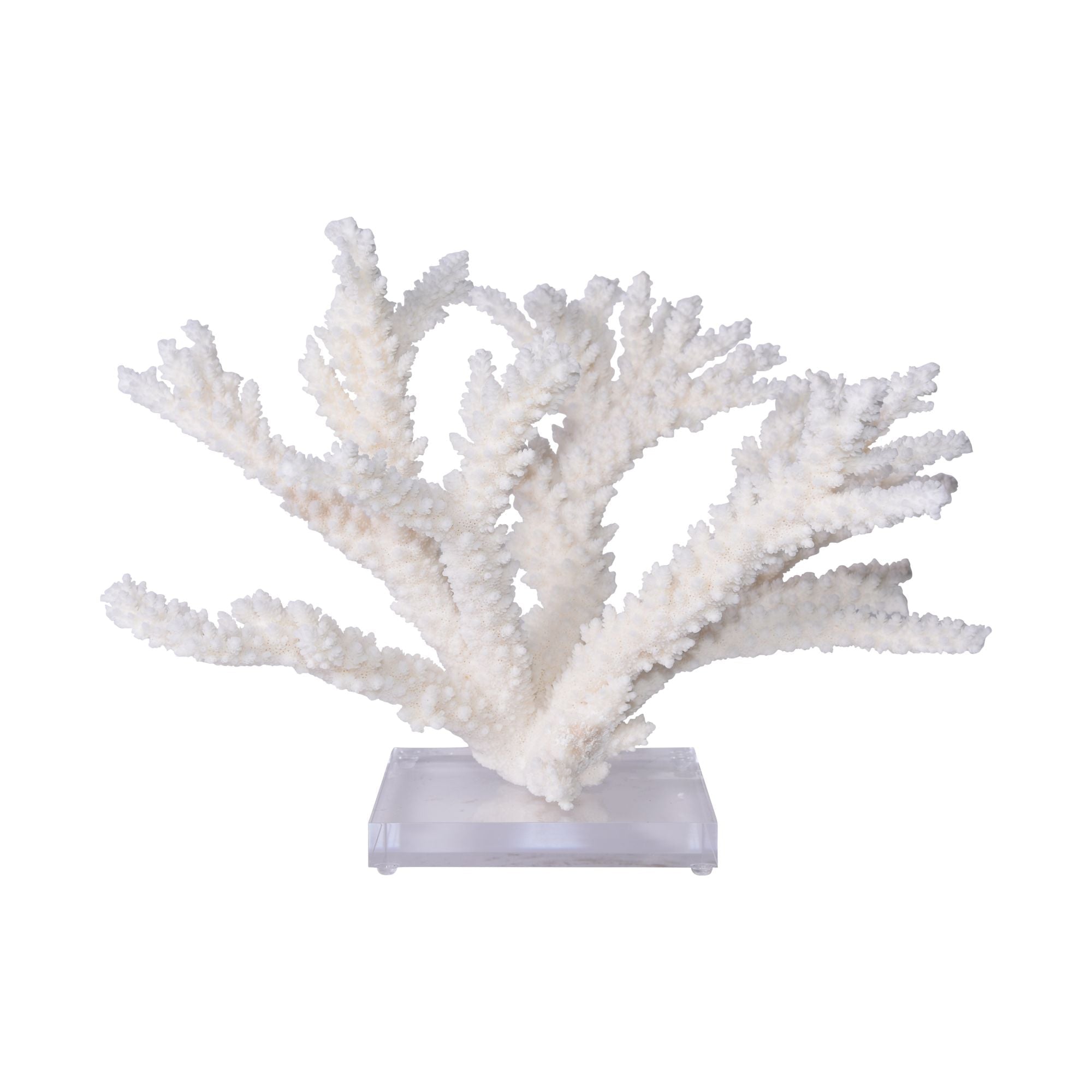 Legend of Asia Giftware Legend of Asia Branch Coral 15-16 Inch On Acrylic Base