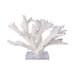Legend of Asia Giftware Legend of Asia Branch Coral 15-16 Inch On Acrylic Base