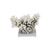 Legend of Asia Giftware Legend of Asia Brownstem Coral 10-12 Inch On Acrylic Base