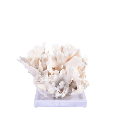 Legend of Asia Giftware Legend of Asia Cactus Coral 7-10 Inch On Acrylic Base