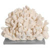 Legend of Asia Giftware Legend of Asia Cauliflower Coral 12-15 Inch On Acrylic Base