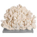 Legend of Asia Giftware Legend of Asia Cauliflower Coral 15+ Inch On Acrylic Base