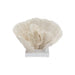 Legend of Asia Giftware Legend of Asia Cup Coral 10-12 Inch On Acrylic Base