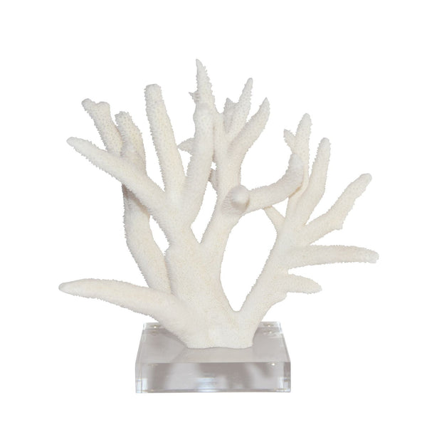Legend of Asia Giftware Legend of Asia Staghorn Coral 12-15 Inch On Acrylic Base