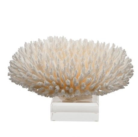 Legend of Asia Giftware Legend of Asia Table Coral 15 - 16 Inch On Acrylic Base