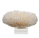 Legend of Asia Giftware Legend of Asia Table Coral 15 - 16 Inch On Acrylic Base