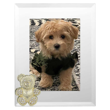 Olivia Riegel Picture Frames Olivia Riegel Gold Teddy Bear 5" x 7" Frame