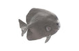 Phillips Collection Home Phillips Collection Australian Bat Fish Wall Sculpture, Resin, Polished Aluminum Finish