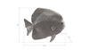 Phillips Collection Home Phillips Collection Australian Bat Fish Wall Sculpture, Resin, Polished Aluminum Finish