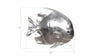 Phillips Collection Home Phillips Collection Australian Bat Fish Wall Sculpture, Resin, Silver Leaf