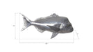 Phillips Collection Home Phillips Collection Australian Snapper Fish Wall Sculpture, Resin, Polished Aluminum Finish