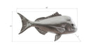 Phillips Collection Home Phillips Collection Australian Snapper Fish Wall Sculpture, Resin, Silver Leaf
