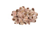 Phillips Collection Home Phillips Collection Barnacle Cluster Wall Art, LG