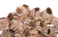Phillips Collection Home Phillips Collection Barnacle Cluster Wall Art, LG
