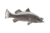 Phillips Collection Home Phillips Collection Barramundi Fish Wall Sculpture, Resin, Silver Leaf