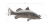 Phillips Collection Home Phillips Collection Barramundi Fish Wall Sculpture, Resin, Silver Leaf