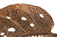 Phillips Collection Home Phillips Collection Birch Leaf Wall Art, Copper, MD